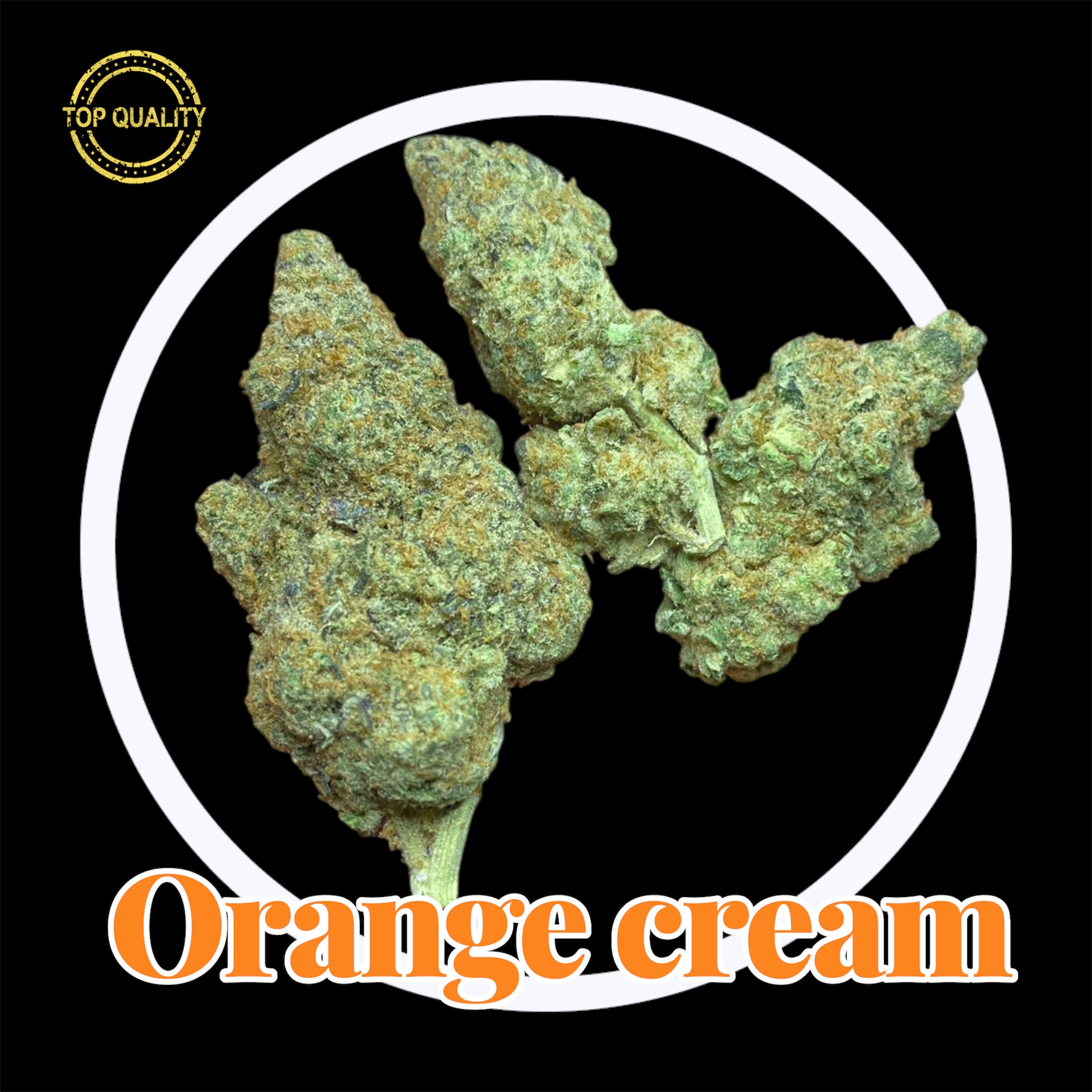 29-11-25 11-18-22pm.jpg